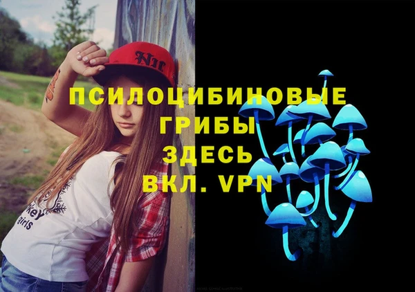 марки lsd Алексеевка